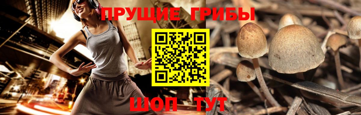 Ревда  Псилоцибиновые грибы Magic Shrooms  Вход с VPN 
